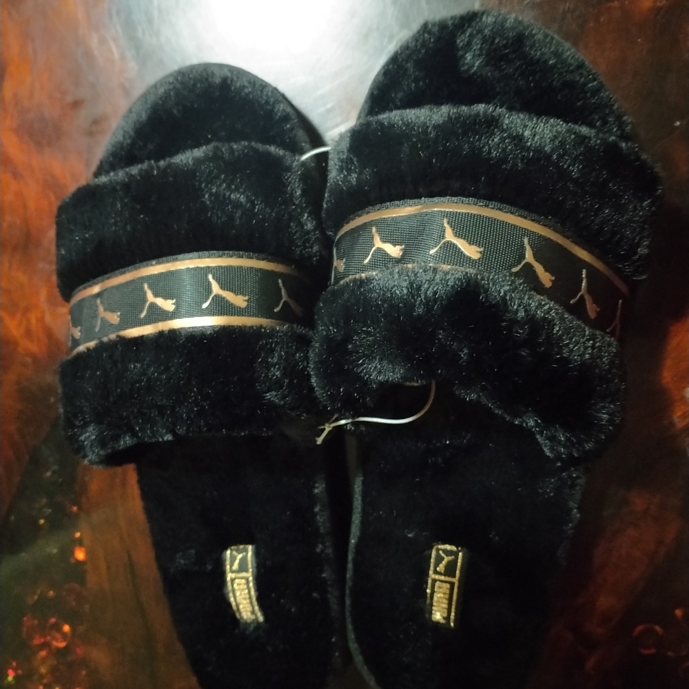 puma